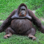 Shmeeeeesh's Avatar'