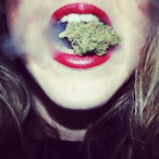 jsemfrajer.'s Avatar'