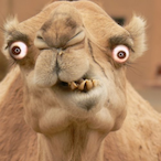 HiddenTalents29's Avatar'