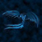 jerekpl32's Avatar'