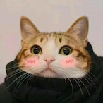 igotsomke_'s Avatar'