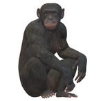 MagicPants465's Avatar'