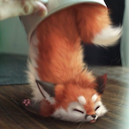 Iamyourfox's Avatar'