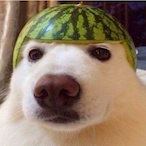 Lil0xy's Avatar'