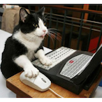 AT-CasseyUndt's Avatar