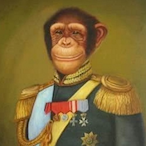 TsarMonkey's Avatar'