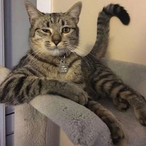 werewolf7777777's Avatar