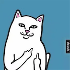 Nj582____'s Avatar'