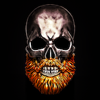 BR0NZEBEARD's Avatar