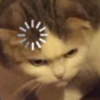 Jackytuning98's Avatar'