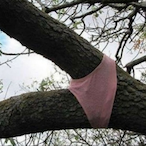 TreeHugger2277's Avatar'