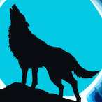 Wolf.BDS's Avatar'