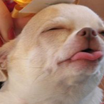 Goon_Night's Avatar'