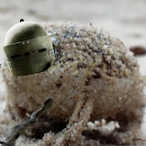 Foorkz's Avatar'