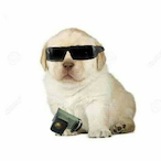GooeyGalaxy29's Avatar'