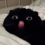 Ecedmn's Avatar'