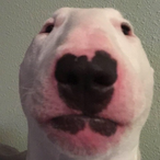connbarn's Avatar'