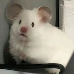 UziMntal's Avatar'