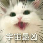 Joys-Jiang's Avatar'