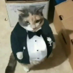 simoxvu's Avatar'