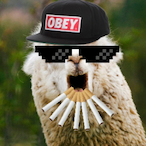 BitBops's Avatar'