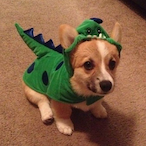 Danielsaurus's Avatar'