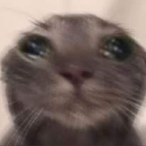 SufferCrasher's Avatar'