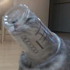 Milkus_'s Avatar'