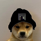NoVANITY_Gabriel's Avatar'