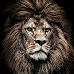 LeoArtist1978's Avatar