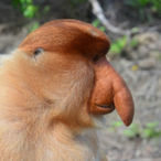 juulingmonkey's Avatar'