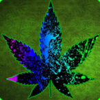 Watt202's Avatar'