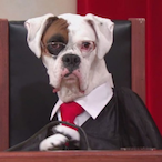 JudgeRick.-'s Avatar'