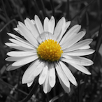 Ichschlafe...'s Avatar'