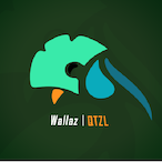 QTZL_Wallaz's Avatar'