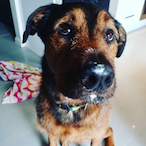 ElecSpaceBorry.'s Avatar