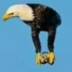 SP3333D's Avatar'
