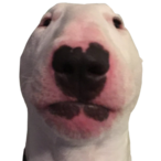 baskitgiy's Avatar'