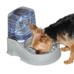 Dog-Water.-'s Avatar'