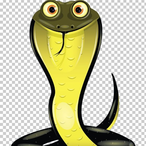 SnakeIsCute's Avatar'