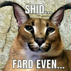 TheGameMasterYT's Avatar'