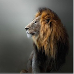 MattthieuDEMON's Avatar'