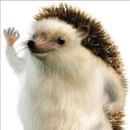 RATDAWGG's Avatar'