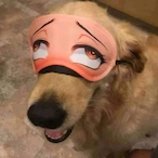 Fellipezikka's Avatar'