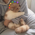 mason_smegwards's Avatar'