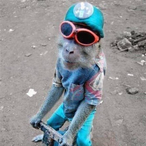 lotixy's Avatar'