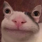 LumpyChin's Avatar'