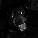 Warlynder's Avatar'