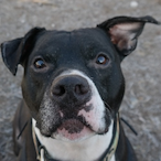 two_4_the_pink's Avatar