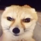 Krausse...'s Avatar'